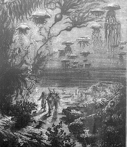 Le paysage sous-marin de l'île Crespo