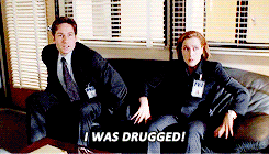 tumblr_nuhhgyorch1s9kqtdo4_250