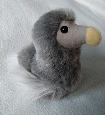 dodo