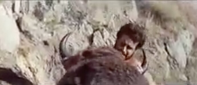 Hercule et le Taureau