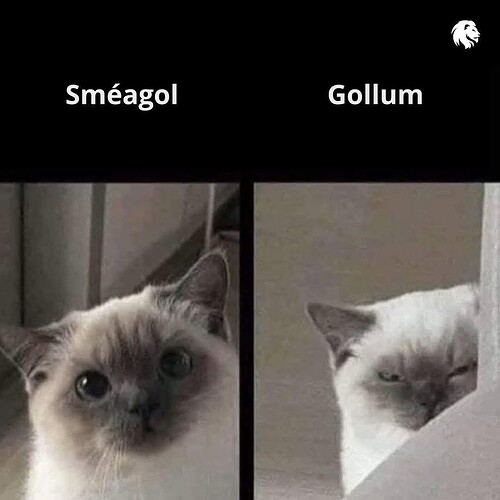 FB_IMG_1768578026984