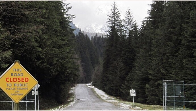Forêt de Vancouver