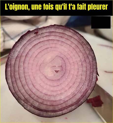 646787573_1335091031978319_6995691336944434801_n