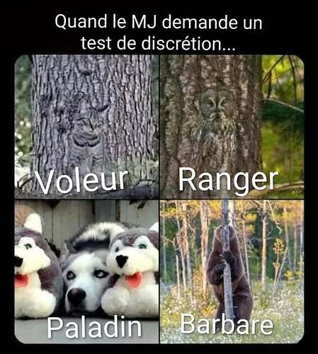 554995661_10230776944392028_1783579838285122806_n