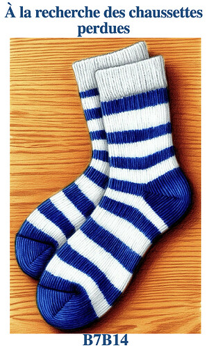À la recherche des chaussettes perdues